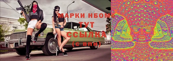 стаф Аркадак