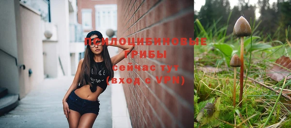 PSILOCYBIN Балабаново